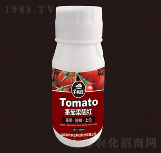 ���ѹ��n�t-���r�r�I(y��)