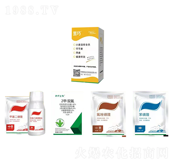 ����С�����ȫ���M�����b-�����_