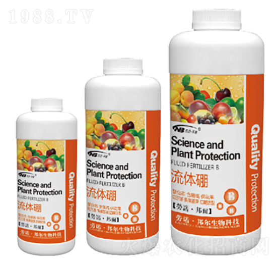 ���w��-������