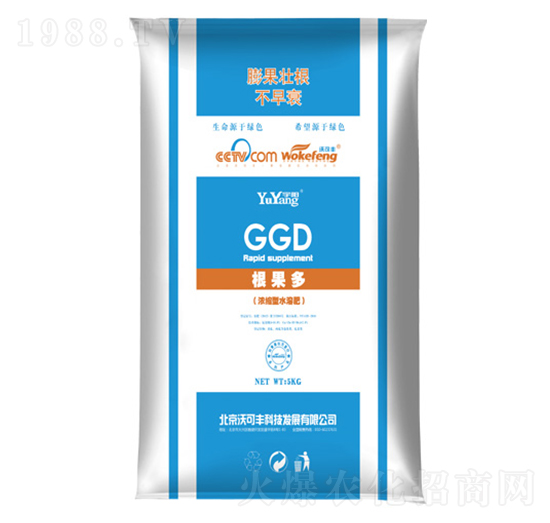 ��ꖸ�����-�ֿ��S