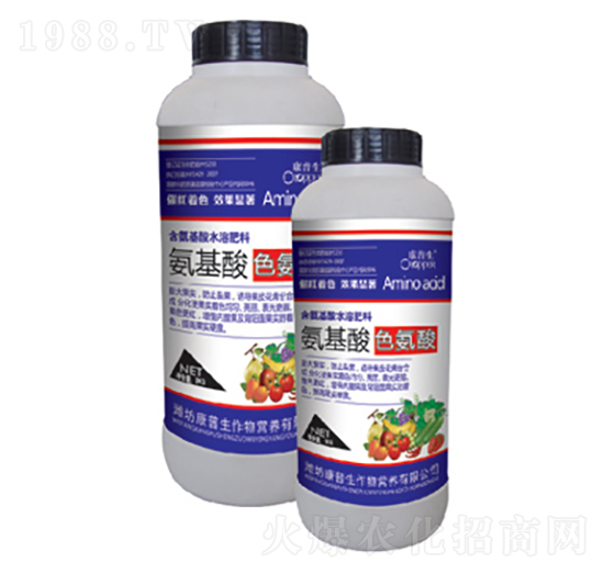 �����ᡤɫ����-������