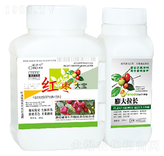 紅棗大寶-康普生