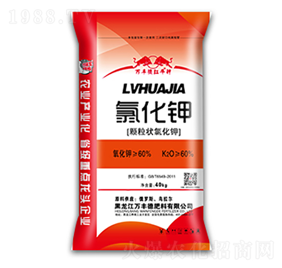 �w�����Ȼ��-�f�S��