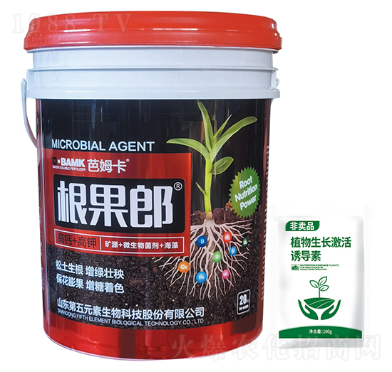 ������-��ķ��-����Ԫ��