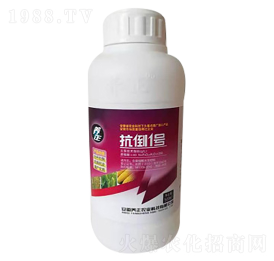 ����1̖-�B(y��ng)��