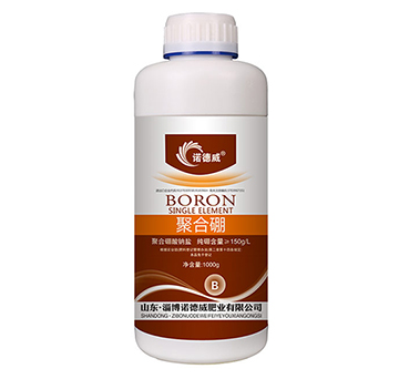 �ۺ���-�Z����