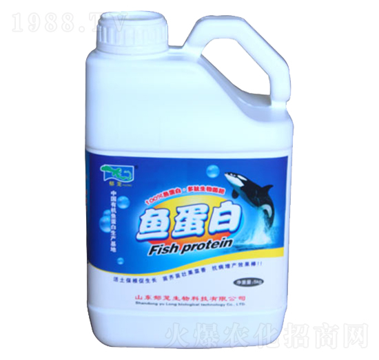 �~(y��)���ס������������-���d����