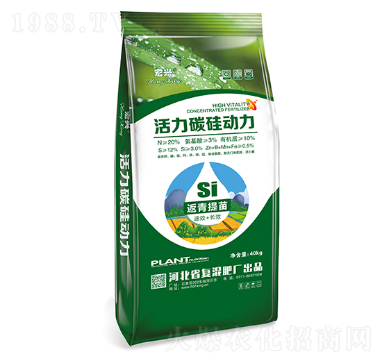 活力碳硅動力-宏興-倍富特