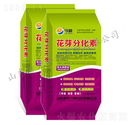 ��ѿ�ֻ���-���r��