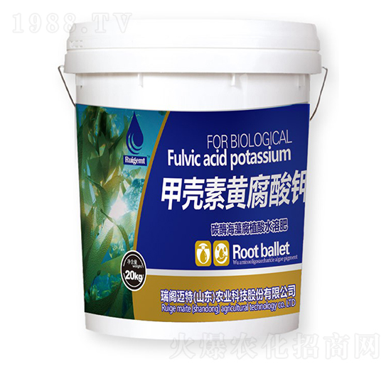 �ך����S�����-���w�~��-���w�~��