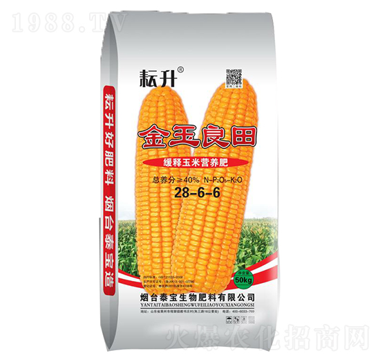 ������נI�B(y��ng)��28-6-6-��������-̩������