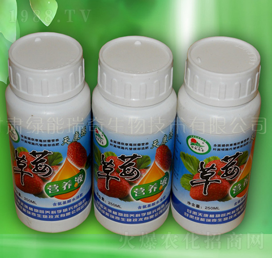 ��ݮ�I(y��ng)�B(y��ng)Һ-�G��