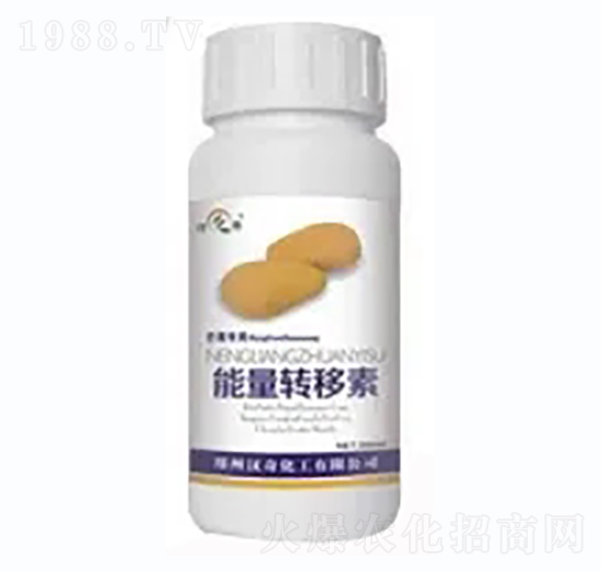 芒果能量轉移素-漢奇化工