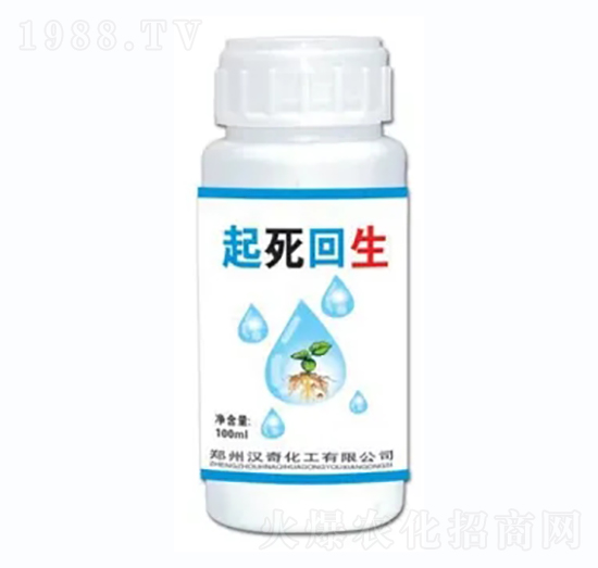 ��������-�h�滯��