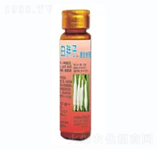 ������-�h�滯��