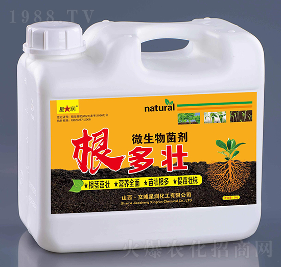 ΢�������-������-�ǝ�����