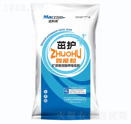 �ѡ��VԴ�S����⛺����-�~���r-�Έ�����