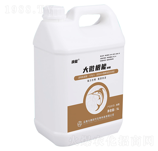 ��΢���ܽ���-����-��΢�r(sh��)��