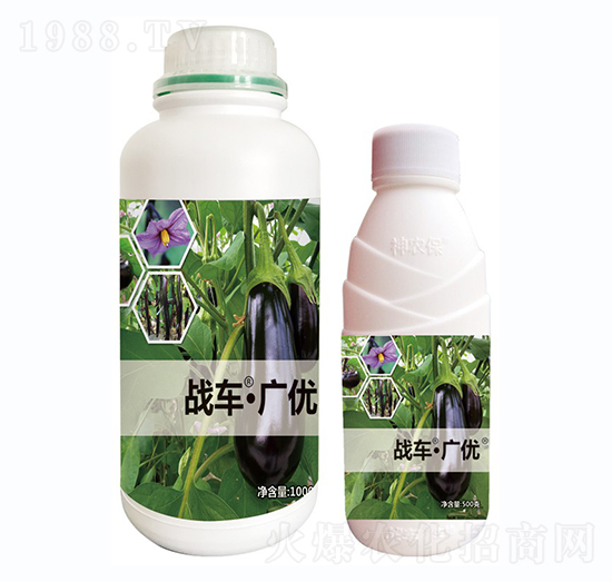 ��(zh��n)܇(ch��)���V��(y��u)-����-��(zh��n)܇(ch��)