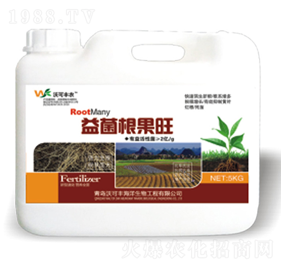 ���������-�ֿ��S