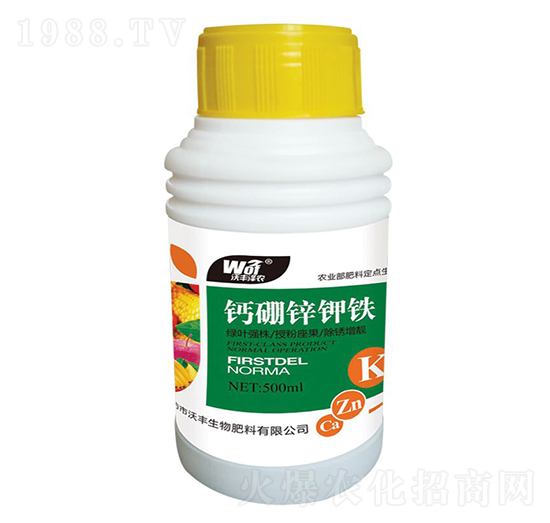 �}���\��F-���S���r(n��ng)-���S����