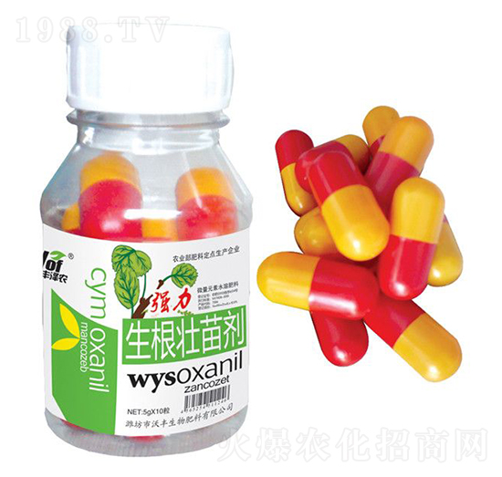 �����������焩-���S���r(n��ng)-���S����