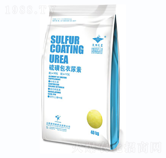 ��ǰ�������-�º���