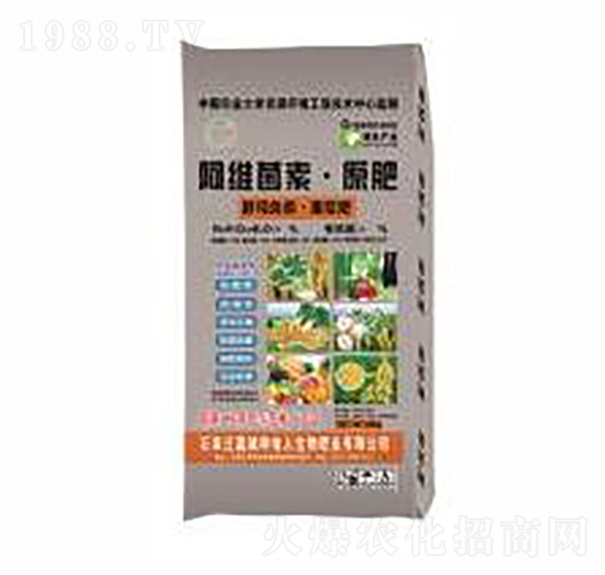 ���S����ԭ��-�N����