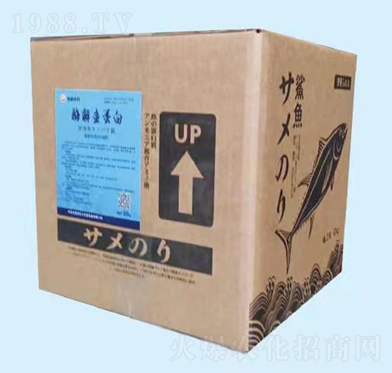 ø���~����ԭ�{-����(r��n)�f(w��n)�S