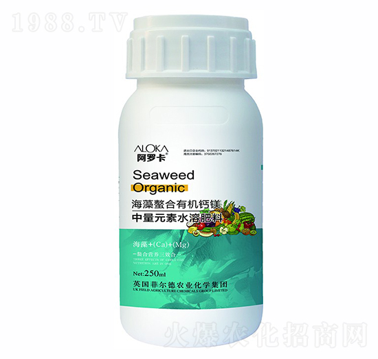 ���������ЙC(j��)�}�V-�����_-�Ɲ��r(n��ng)��