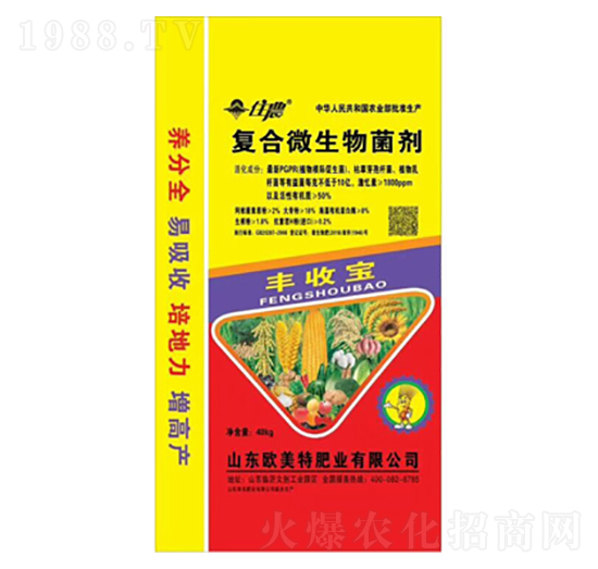 �S�Ռ���(f��)��΢�������-��������