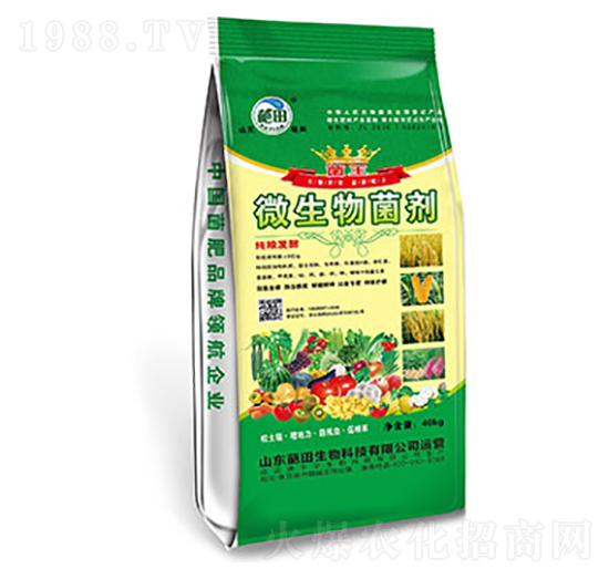 40kg΢�������-��������