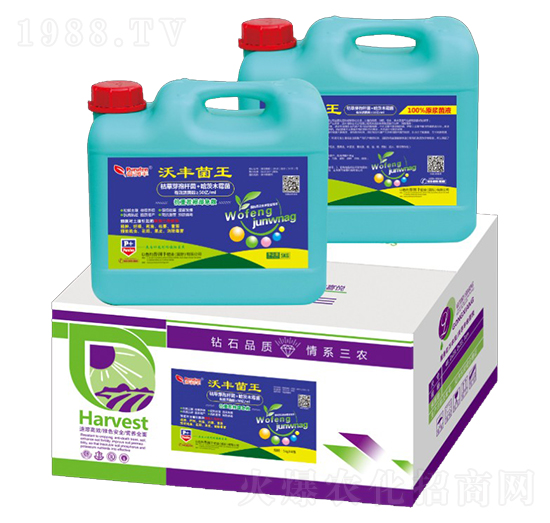 ���S����-�՝��S