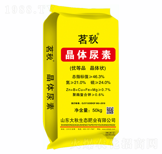 ���w����-����-������