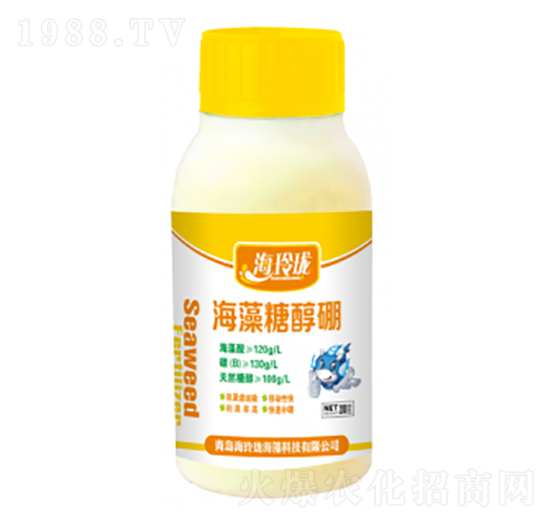 �����Ǵ���-���ᭇ