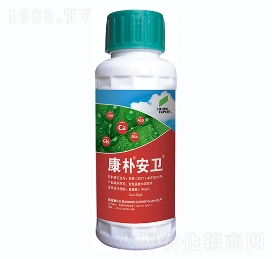 �~���-���㰲�l(w��i)-���A����