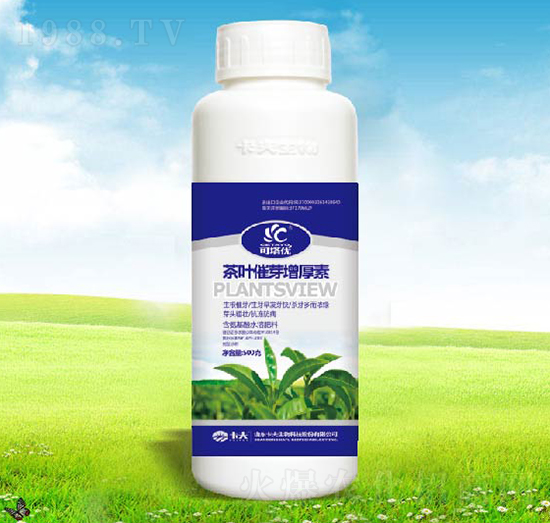 ���~��ѿ������-������