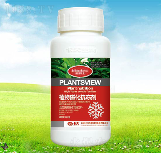 300��ֲ��Ż�������-������