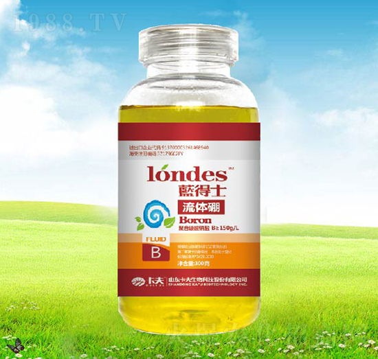 300���{��ʿ���w��-����