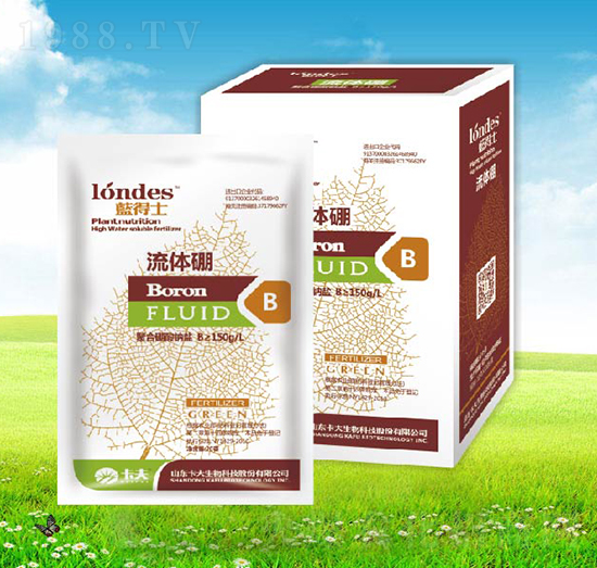 20���{(l��n)��ʿ���w��-����