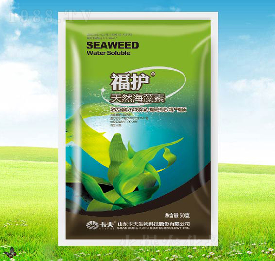 ��Ȼ������-���o(h��)-����