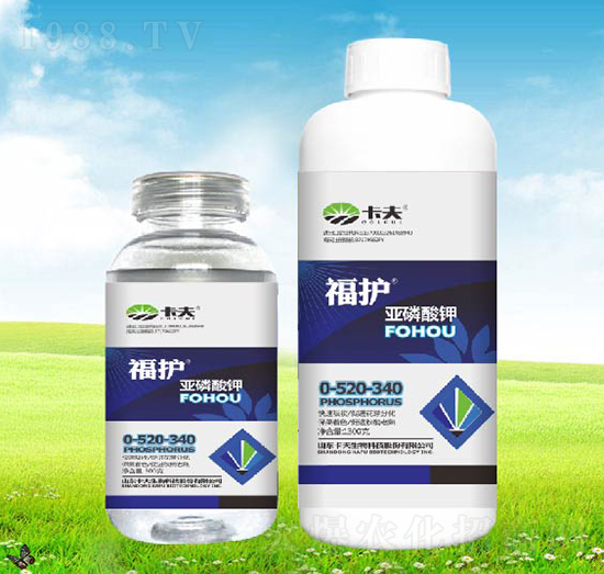 �������-���o(h��)-����