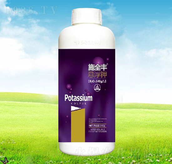 ʩȫ�S�Ҹ��-����