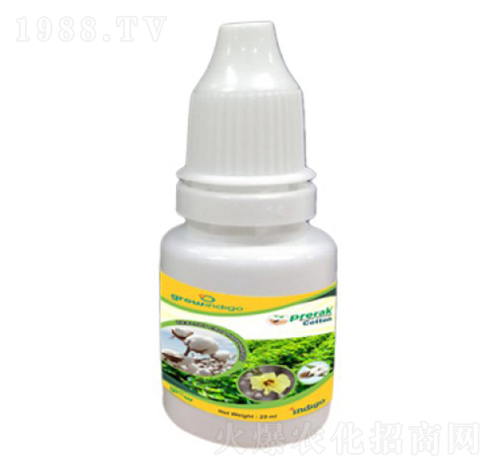 Prerak Cotton-�ָ���