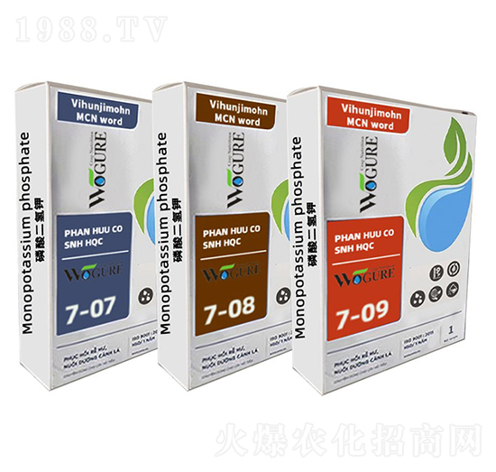 �~���-�ָ���