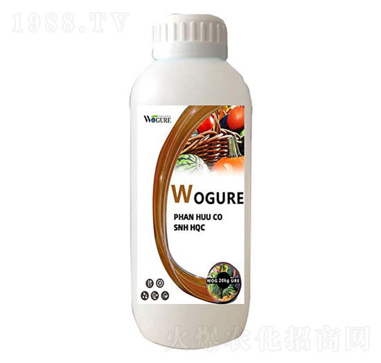 �������-�ָ���