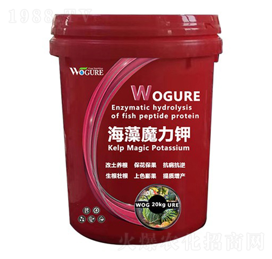 ����ħ���-�ָ���