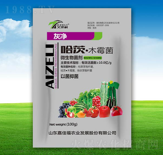 ���ġ�ľù��-�҃�-�μѸ�