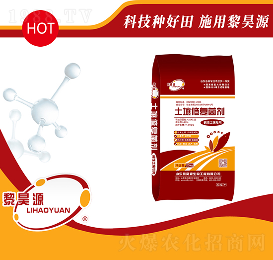 �A���������������ޏ�(f��)����-���Դ