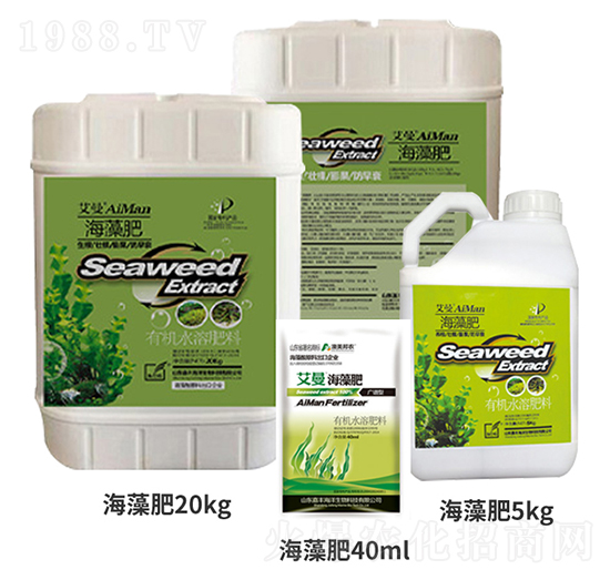 �����������-���S